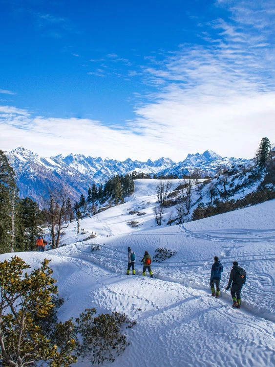 Kullu Manali Volvo Package Tour