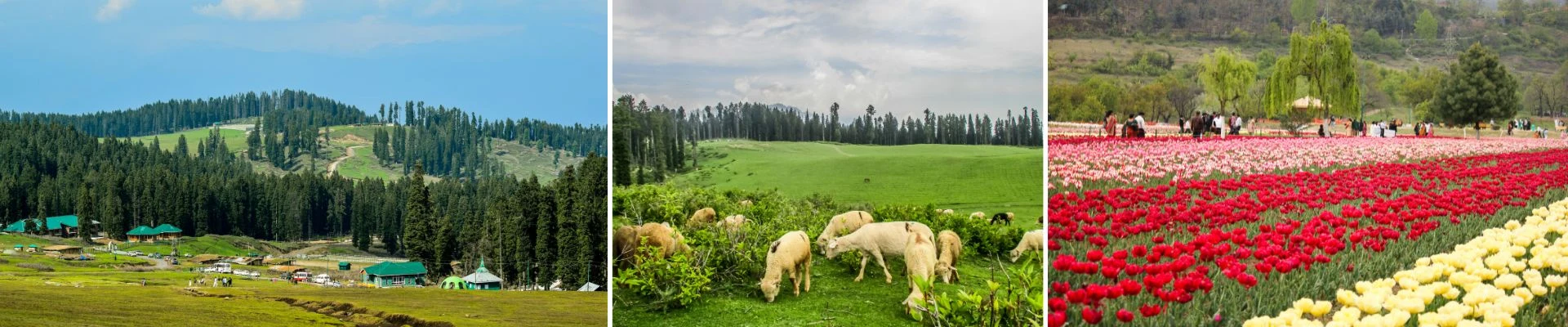 Kashmir Tour With Doodhpathri