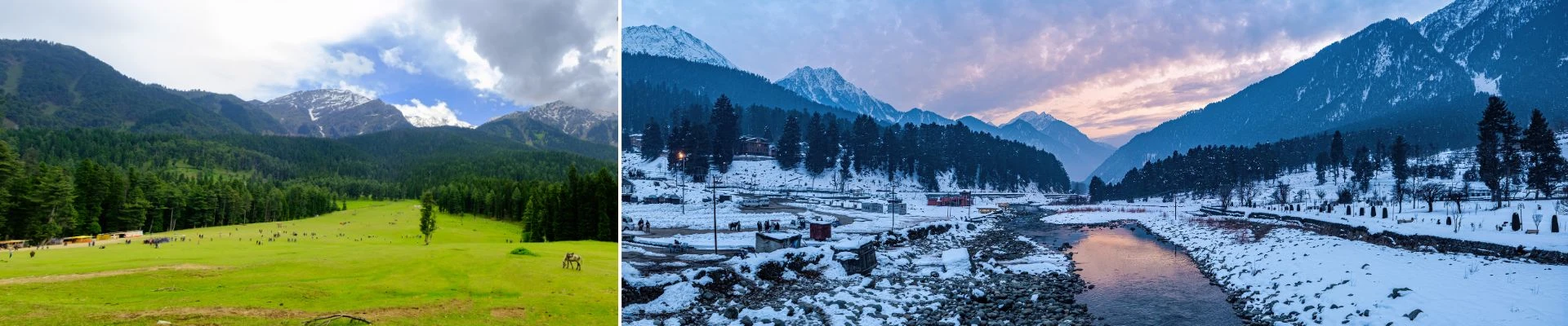 Kashmir