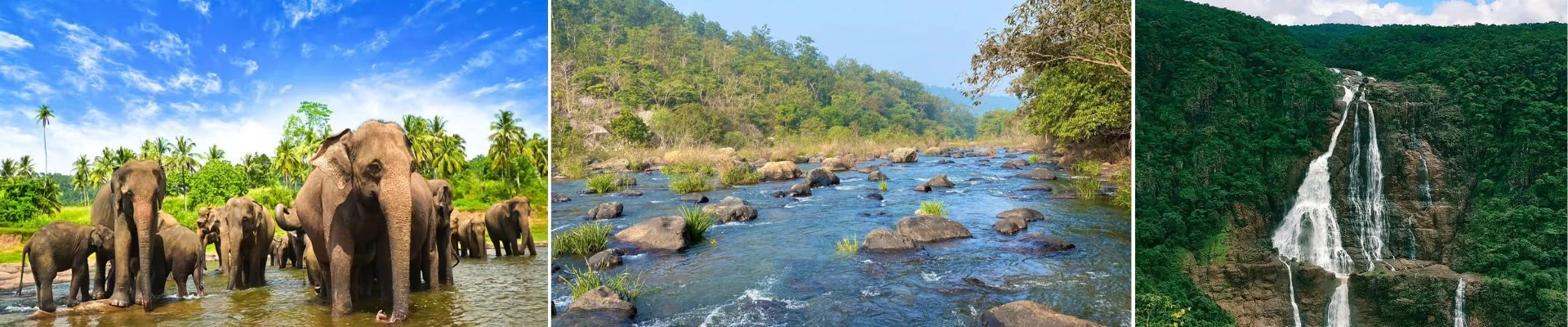 Simlipal Tour Package