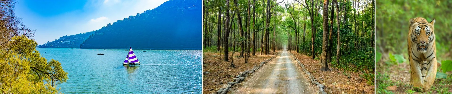 Nainital & Jim Corbett Tour Package