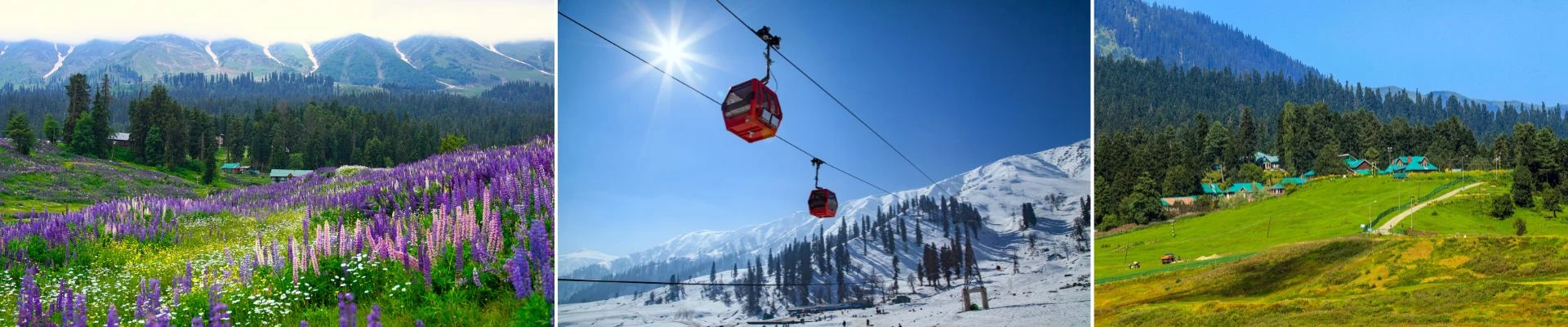 Kashmir