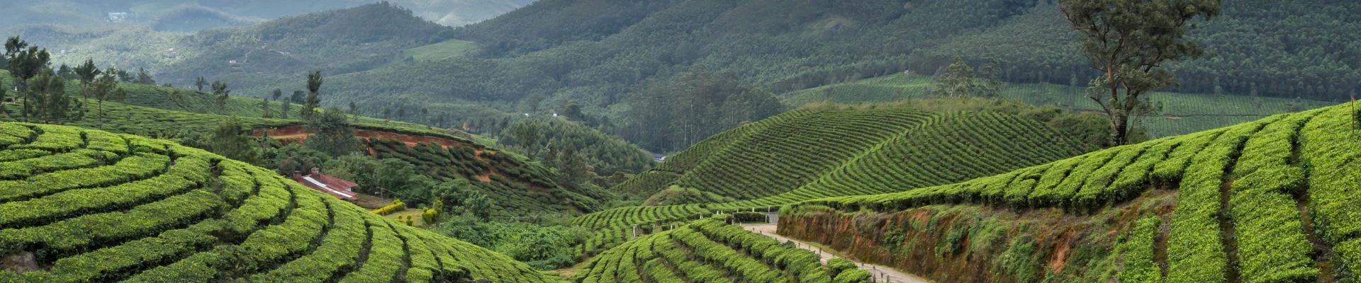 Kerala